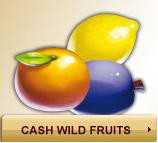 /album/cash-wild-fruits/cash-wild-fruits-jpg/